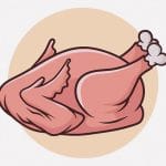病気で体毛がすべて抜け落ちてしまったオウムさん、食材感がものすごい