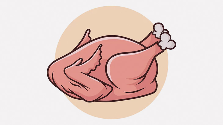 病気で体毛がすべて抜け落ちてしまったオウムさん、食材感がものすごい