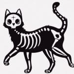 檻の中に入れられた猫、仲間たちにペロリと食われてしまう･･･