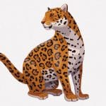 民家で飼われているジャガー、違和感がすごい