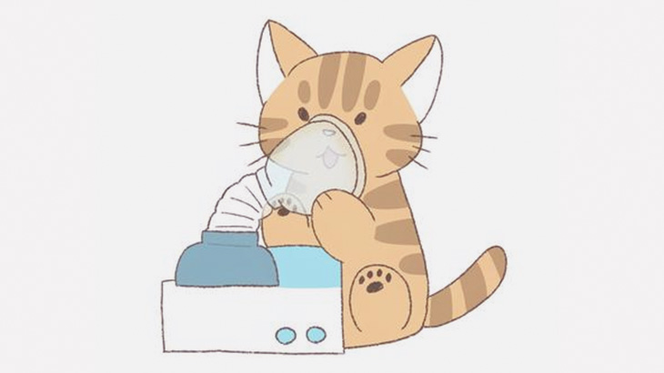 喘息で苦しむ猫のためのいろんなタイプの吸入器