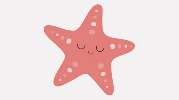 タイムラプスで見るとめちゃくちゃコミカルに動いているヒトデさん
